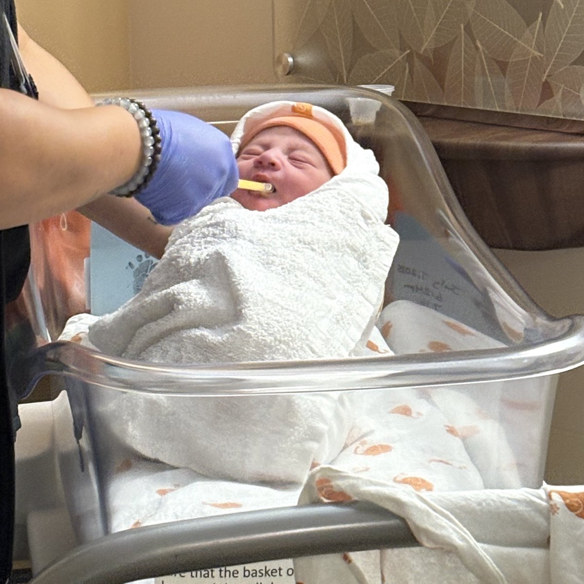 scorpiopudding's tweet photo. I can’t believe I just birth a whole baby 😂😭 https://t.co/W1P7ZBbUOQ