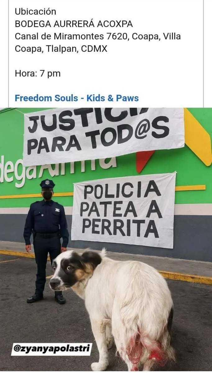 LicAnimalista's tweet photo. Se convoca esté jueves 10 de Julio 7 PM en bodega aurrera villa coapa Miramontes y Calz Acoxpa, alcaldía Coyoacán, a la protesta contra @Walmart y @BodegaAurrera ya que el viernes pasado uno de sus policías pateó a una perrita hasta lastimarla. CCP @ClaraBrugadaM @UCS_GCDMX https://t.co/HPzzHLHo2S