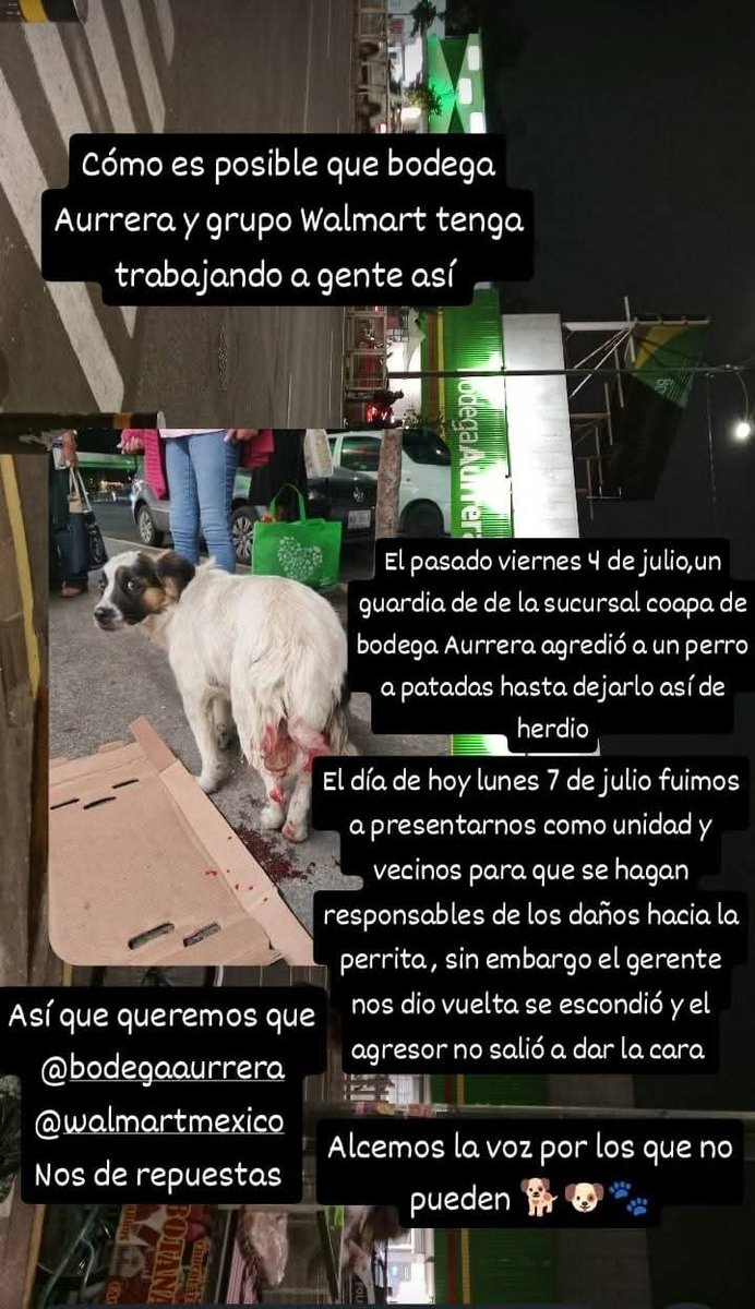 Abogado Animalista (@licanimalista) on Twitter photo Se convoca esté jueves 10 de Julio 7 PM en bodega aurrera villa coapa Miramontes y Calz Acoxpa, alcaldía Coyoacán, a la protesta contra <a href="/Walmart/">Walmart</a> y <a href="/BodegaAurrera/">Bodega Aurrera</a> ya que el viernes pasado uno de sus policías pateó a una perrita hasta lastimarla. CCP <a href="/ClaraBrugadaM/">Clara Brugada Molina</a> <a href="/UCS_GCDMX/">Unidad de Contacto del Secretario SSC CDMX</a> Se convoca esté jueves 10 de Julio 7 PM en bodega aurrera villa coapa Miramontes y Calz Acoxpa, alcaldía Coyoacán, a la protesta contra <a href="/Walmart/">Walmart</a> y <a href="/BodegaAurrera/">Bodega Aurrera</a> ya que el viernes pasado uno de sus policías pateó a una perrita hasta lastimarla. CCP <a href="/ClaraBrugadaM/">Clara Brugada Molina</a> <a href="/UCS_GCDMX/">Unidad de Contacto del Secretario SSC CDMX</a>