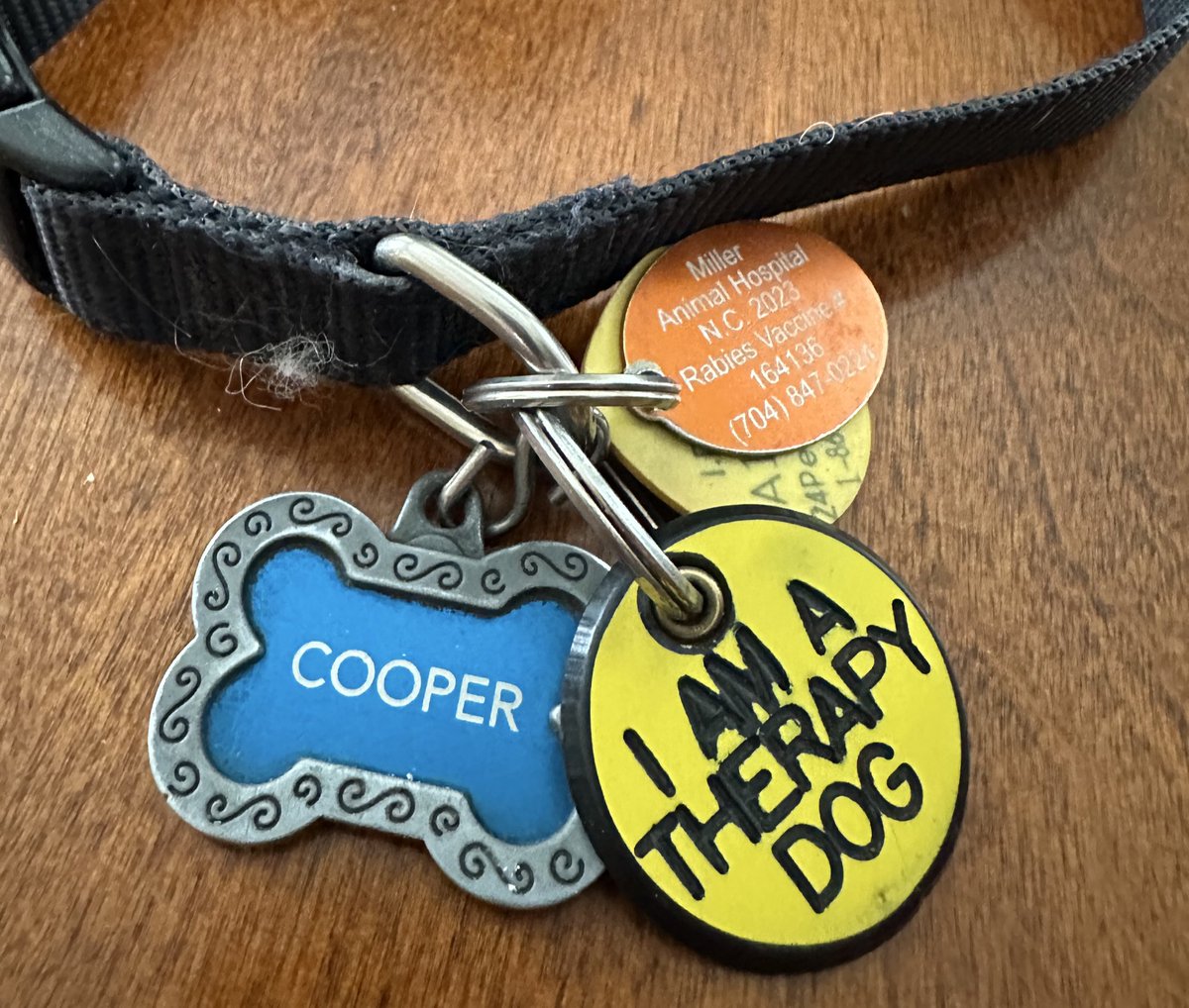 Peter Panico tweet media