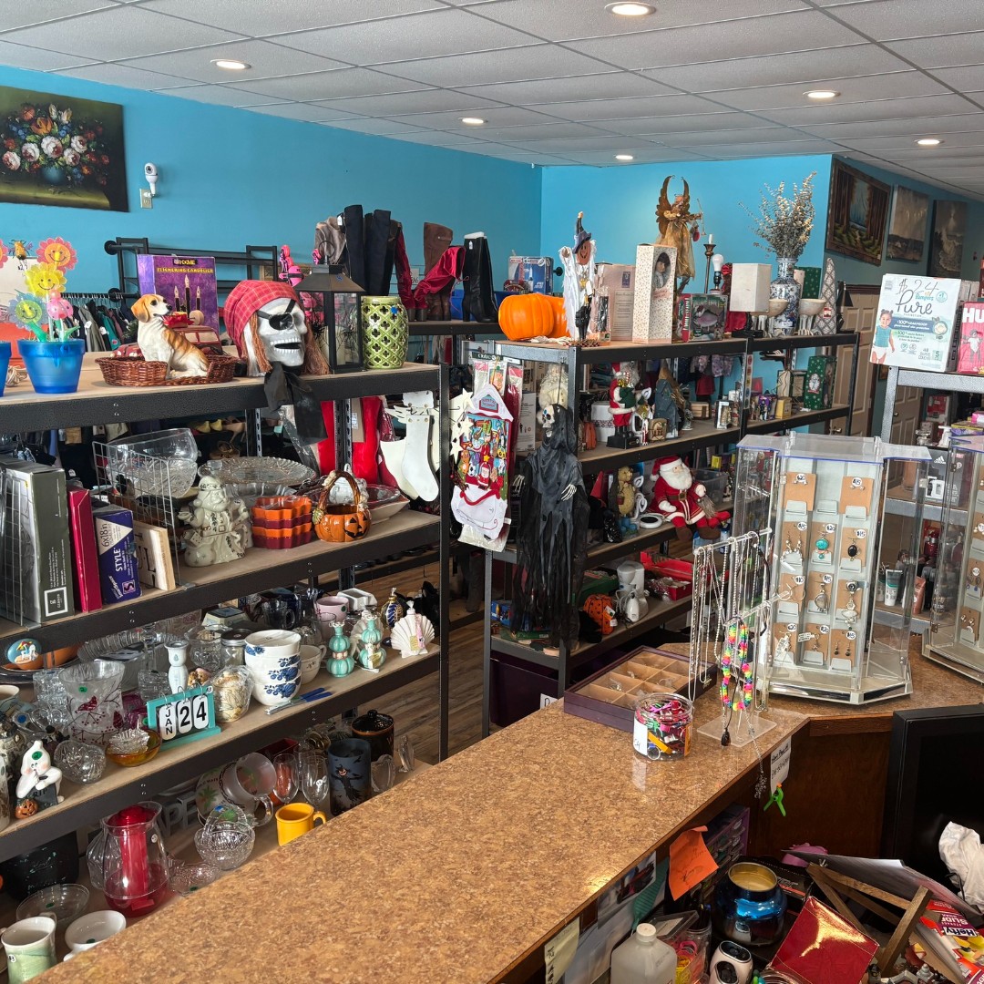 petsalive's tweet photo. Shoutout to Jon at Finderz Keeperz 845 in #PineBush for hosting a donation box for our animals! 🐾 Every dollar and coin helps provide food & vet care. Stop by for secondhand treasures & show some love! 📍2412 Route 52, Pine Bush, NY 💛 #PetsAliveNY #PineBushNY #AdoptDontShop https://t.co/hHYM3jW5KH