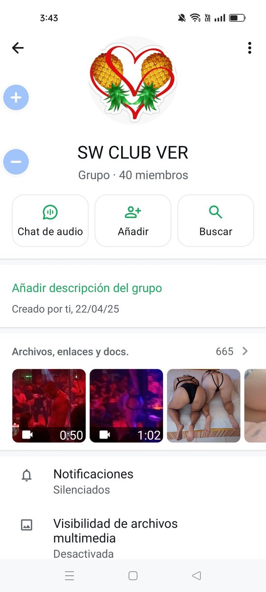 cornudos y hotwifes tweet media