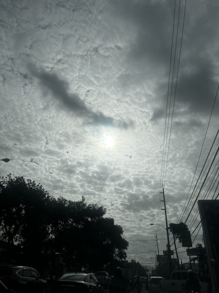 Guatemala martes 8 de julio 2025.
16:00hrs