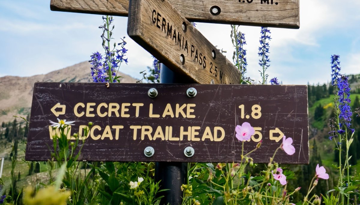 Just a few miles is all you need to reach some stunning views bit.ly/3Tbrx2w