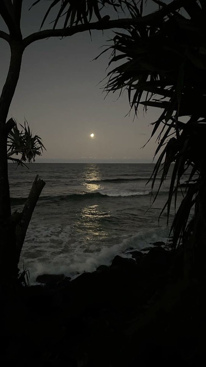 بحر 🌊 (@butterflless) on Twitter photo 