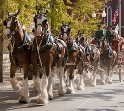 Here's something you can't see every day: The Budweiser Clydesdale horses will be on parade in Smyrna on Friday, July 11, as part of the celebration of MLB All-Star week.
WHEN: 4:00 p.m., July 11, 2025.
LOCATION: Smyrna Market Village