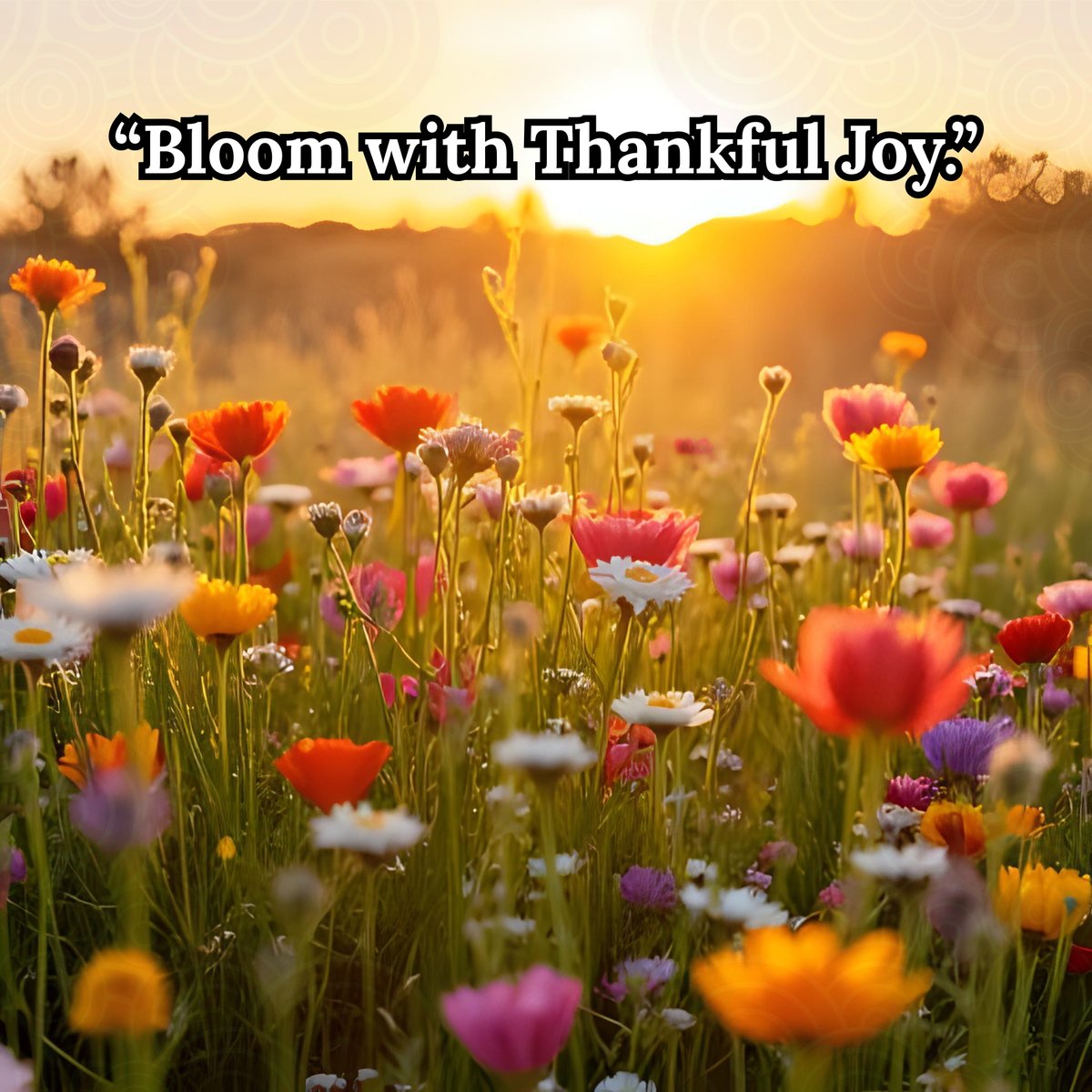 PemaZeje's tweet image. In Nature’s Gratitude: Blooming Meadow, a meadow bursts with wildflowers, each bloom a gift of abundance. Gratitude opens our eyes to life’s richness. 🙏
~ Today, thank someone who supports you. What warmth does it bring? 🌼