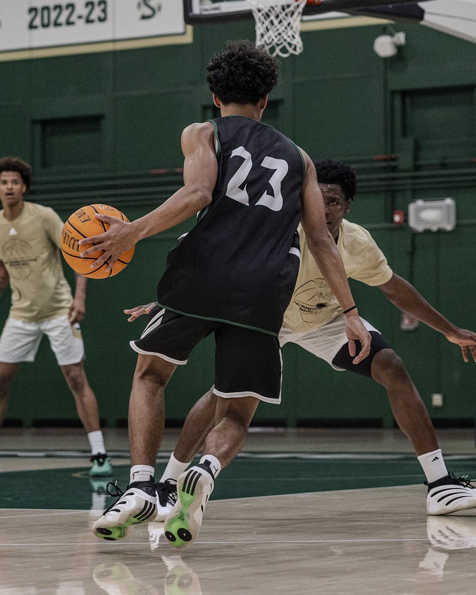 SacHornetsMBB's tweet image. Nest work #StingersUp