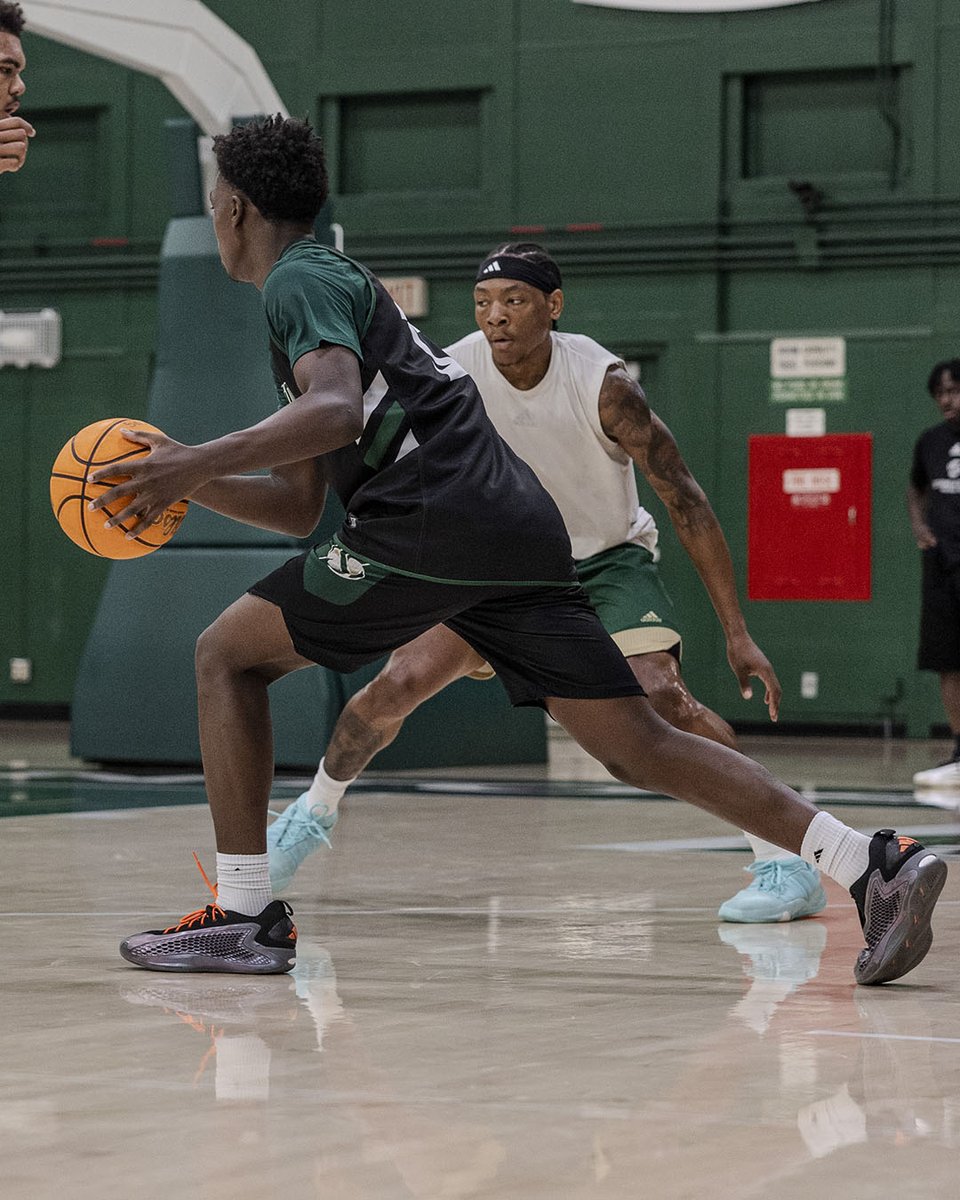 SacHornetsMBB's tweet image. Nest work #StingersUp