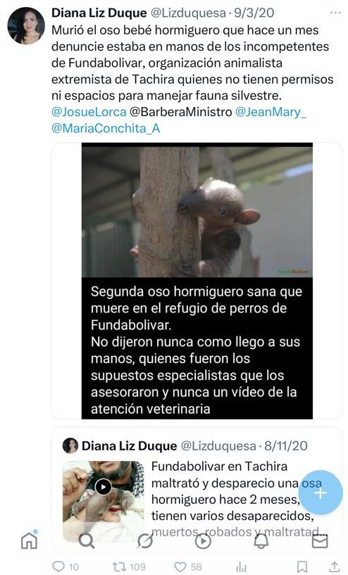 LIS (@liscalzadilla) on Twitter photo JONATAN PALACIOS le debe una vela a cada santo desde que <a href="/4F_Mamba/">Mamba Negra</a> comenzó a dejarlo en la calle mostrando todas sus marramucias 👀🔍🔥🚨 #MambaTieneLocoAJonatan JONATAN PALACIOS le debe una vela a cada santo desde que <a href="/4F_Mamba/">Mamba Negra</a> comenzó a dejarlo en la calle mostrando todas sus marramucias 👀🔍🔥🚨 #MambaTieneLocoAJonatan