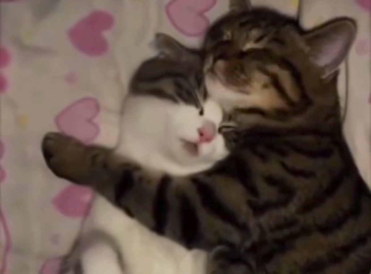 Me & Who? (@tagyourwho) on Twitter photo 