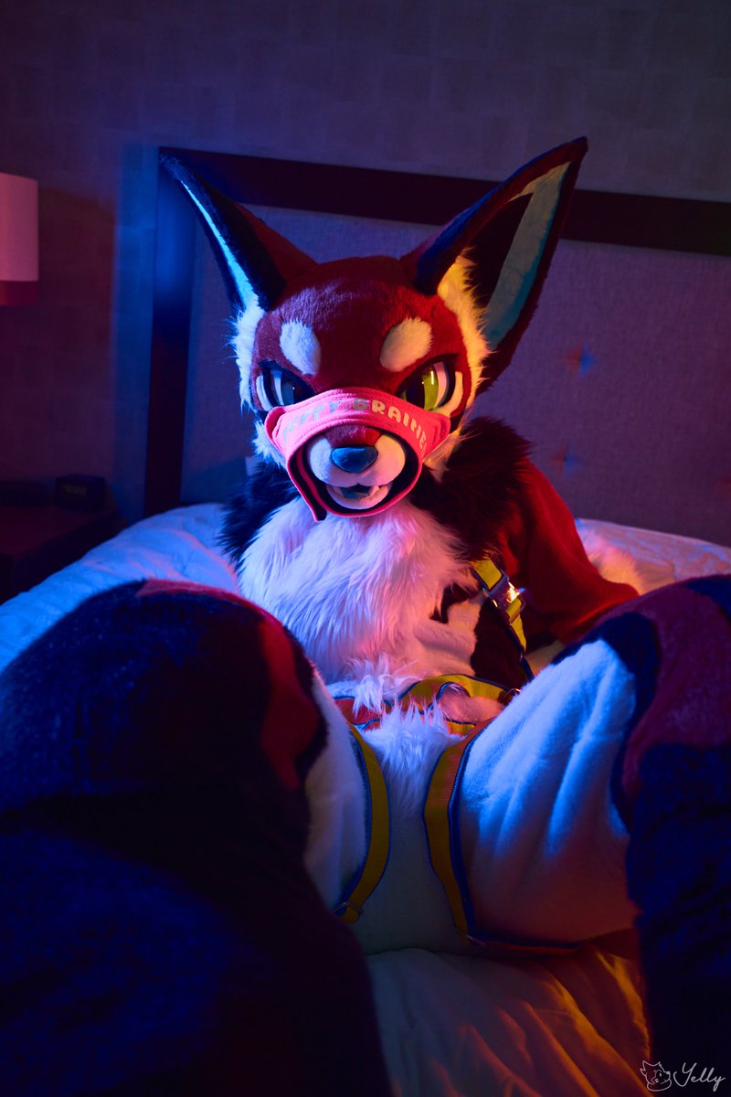 Kemo photoshoot Anthrocon edition #AC2025