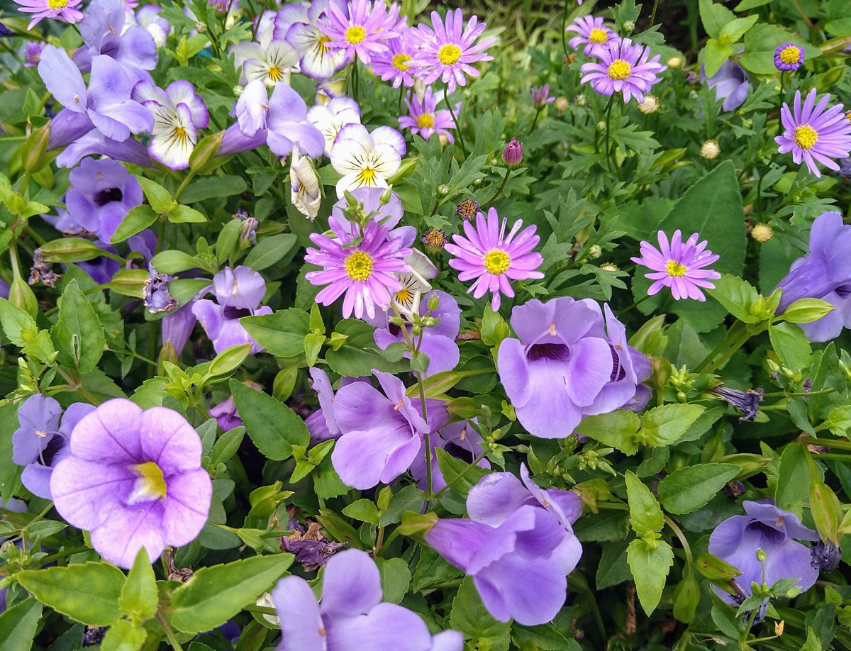 皆さん♪おはようございます( ´∀｀)

今朝の東京は♪『明るい厚めの曇り空』です( ´∀｀)

それではスタート(*^▽^*)♪