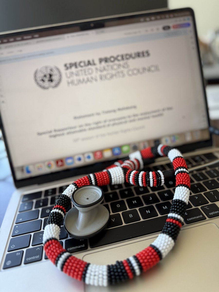 UN Special Rapporteur on the right of everyone to the highest attainable standard of physical and mental health. ❤️🖤❤️