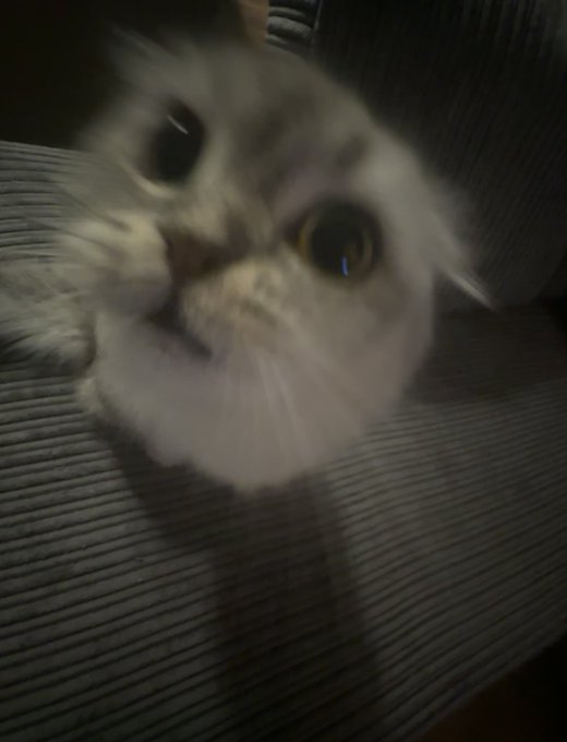 Watch Izzy💫's leaked NSFW photo on TwXstars