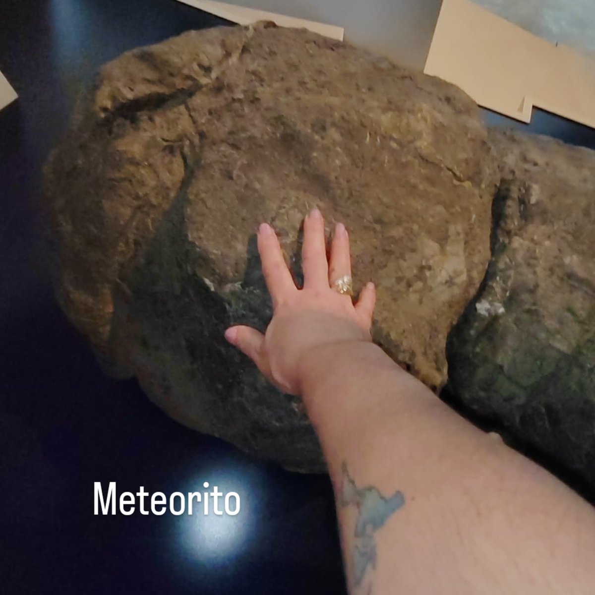 Fuimos invitados por el  <a href="/biomuseo/">Biomuseo</a> para conocer sus salas, dos de ellas con exhibiciones temporales
1. Ojos en el espacio, descubrirás la bandera🇵🇦 que viajó al espacio y 4 fragmentos de la luna
2. Fósiles del Canal, con fósiles del megalodón
 #journalist #Panama #turismocultural