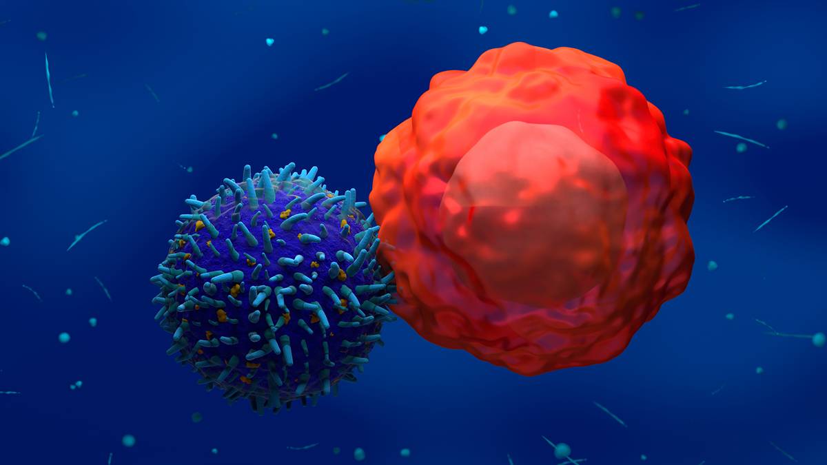 “We’re excited to be actively advancing in the clinic and pushing through dose levels as we break new ground in the solid tumour CAR T-cell therapy space,” CEO Dr Rebecca McQualter told @Stockhead.

stockhead.com.au/health/asx-bio…  
$CHM #Chimeric #Biotech
