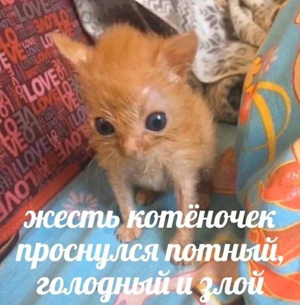 // Вот и настало то время, когда сидишь и скучаешь по былым временам, когда тви был наполнен ролевыми аккаунтами и яркими эмоциями ((
В целом, кто не смотря ни на что остался жив? Как у вас дела? Ребята которые ушли, как вы сейчас? 

Какие новости в целом?