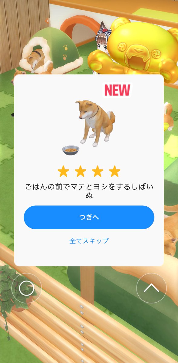 いっぬ🥹
