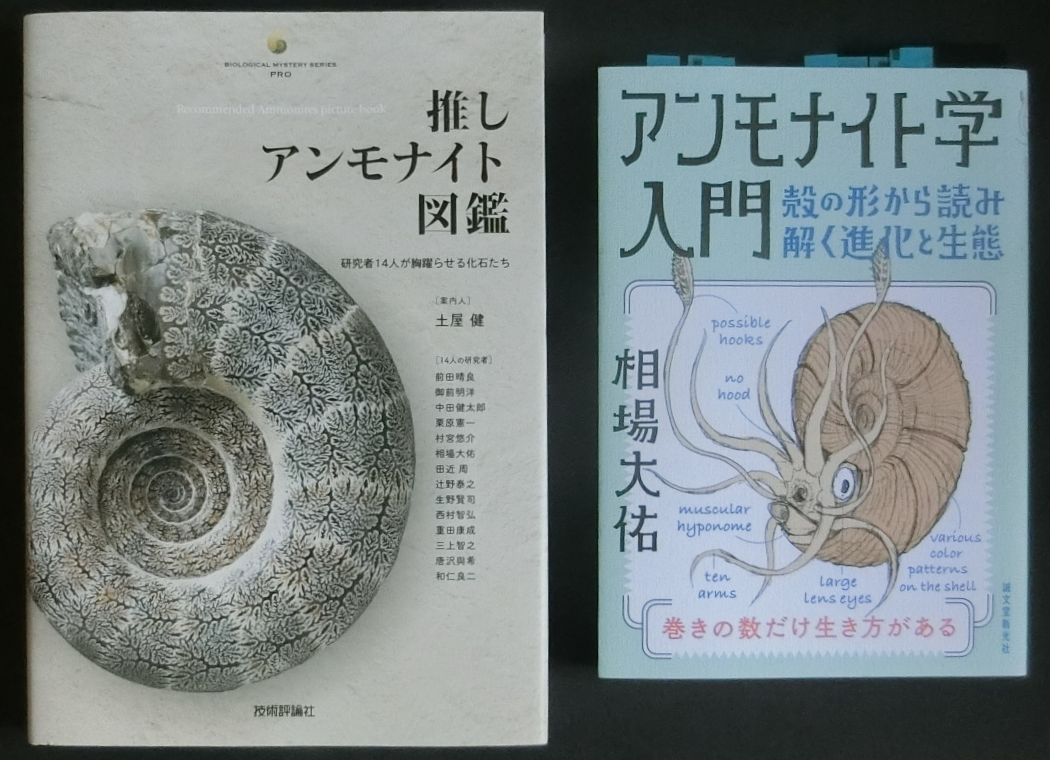 #推しアンモナイト図鑑 を発売日25/07/08に買ったのだが
同じく発売日に買っていた #アンモナイト学入門（24/02/08）を今頃読んでる私🐌