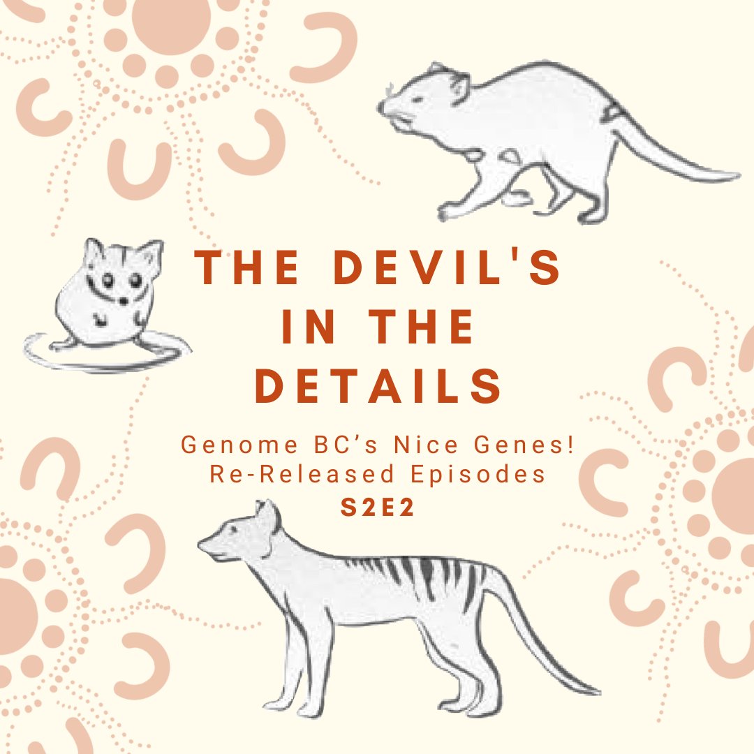 Geneskool tweet media