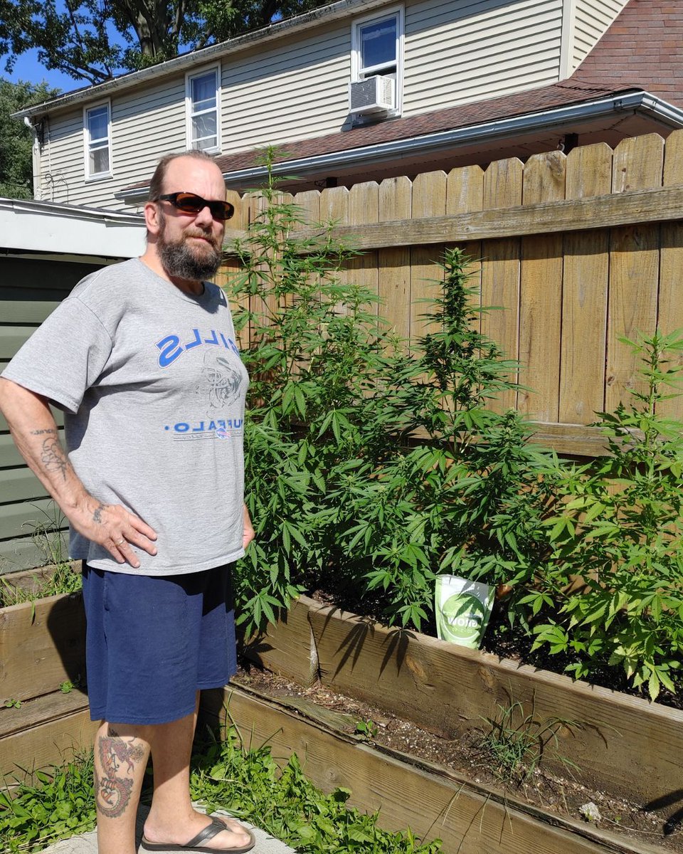 🌿 When your plant’s as tall as you...
That’s not just a good sign it’s a testament to what you’re feeding it. 💪

Happy plants start with the right nutrients.
✅ Easy feeding schedule
✅ No mess powders
✅ Bigger, healthier growth

#plantgrowth #plants #gardeningtips