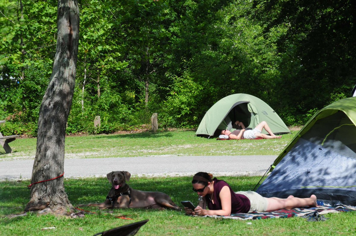 Last-minute Camping Plans? We’ve got you covered! ⛺

The "Camping This Weekend" feature on our reservation site shows all available and reservable campsites for the upcoming weekend. 

Book today at: camp.IN.gov