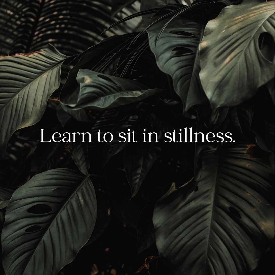It seems that we are always wanting a distraction these days.  We are constantly on our phones.  We reach for food to give us something to do when we feel bored.  Learn to sit in stillness - feel your feelings, the good and the bad.  #TuesdayTalks #UCDavisBariatrics