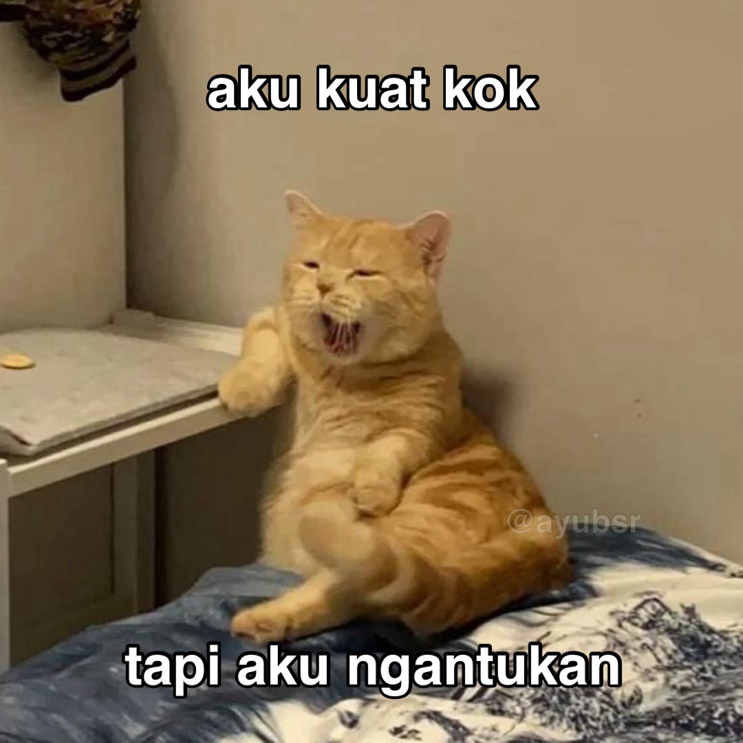 Ayu (@ayubsr) on Twitter photo 