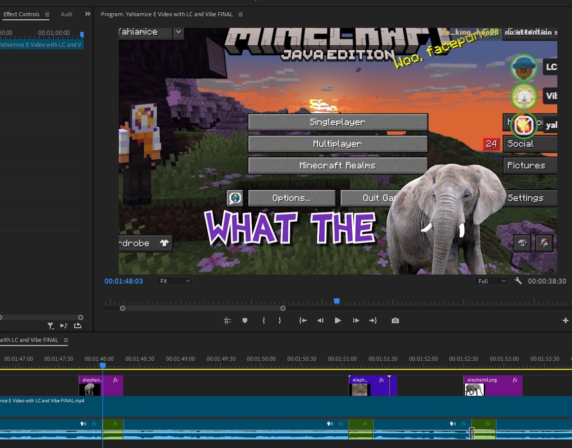 ok YouTube's forcing me to reupload the video so i replaced EVERY SINGLE swear word with an elephant. we'll see if it's still age restricted tomorrow
