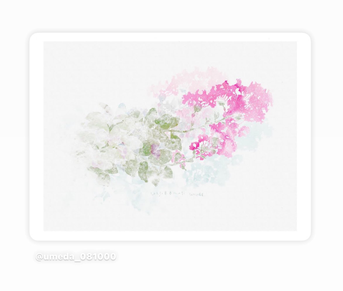 umeda_08's tweet image. 百日紅