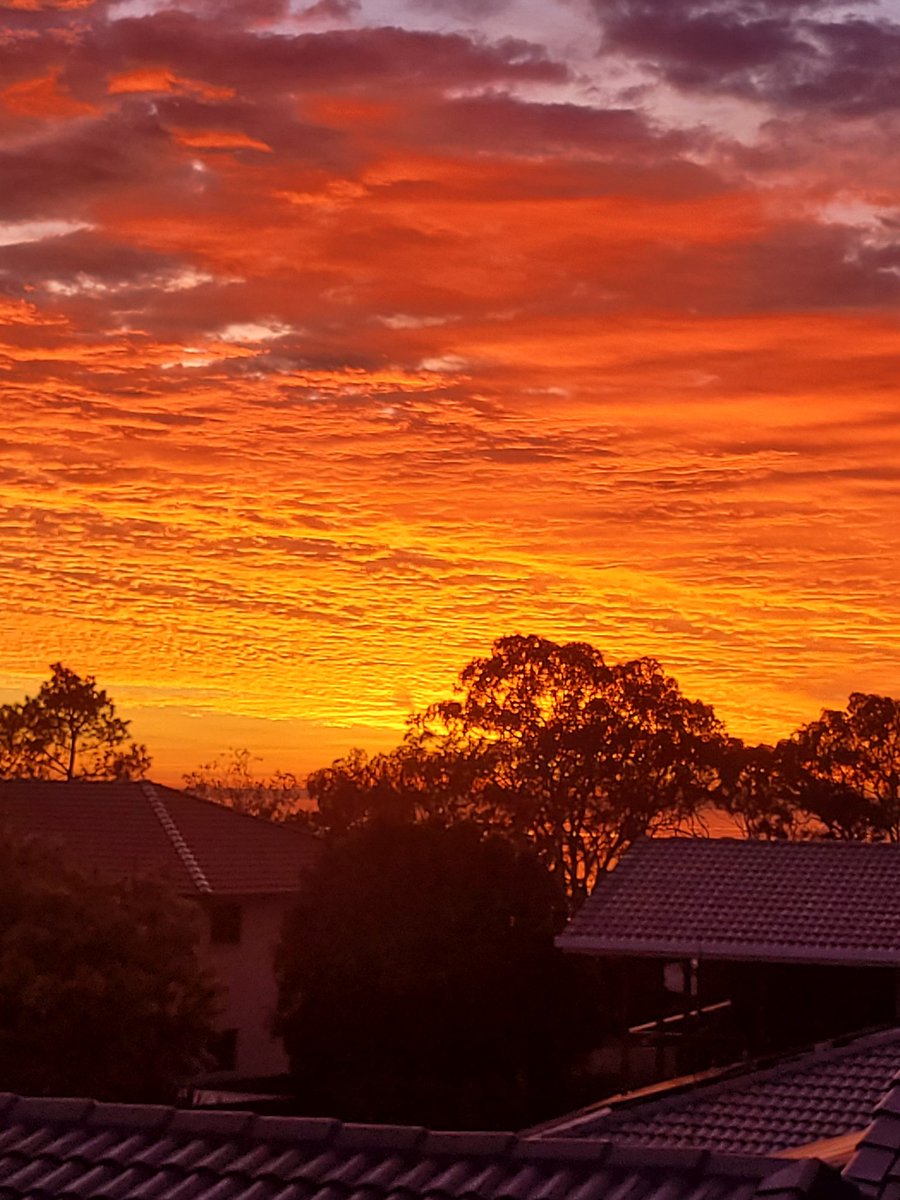 Scott Hook tweet media