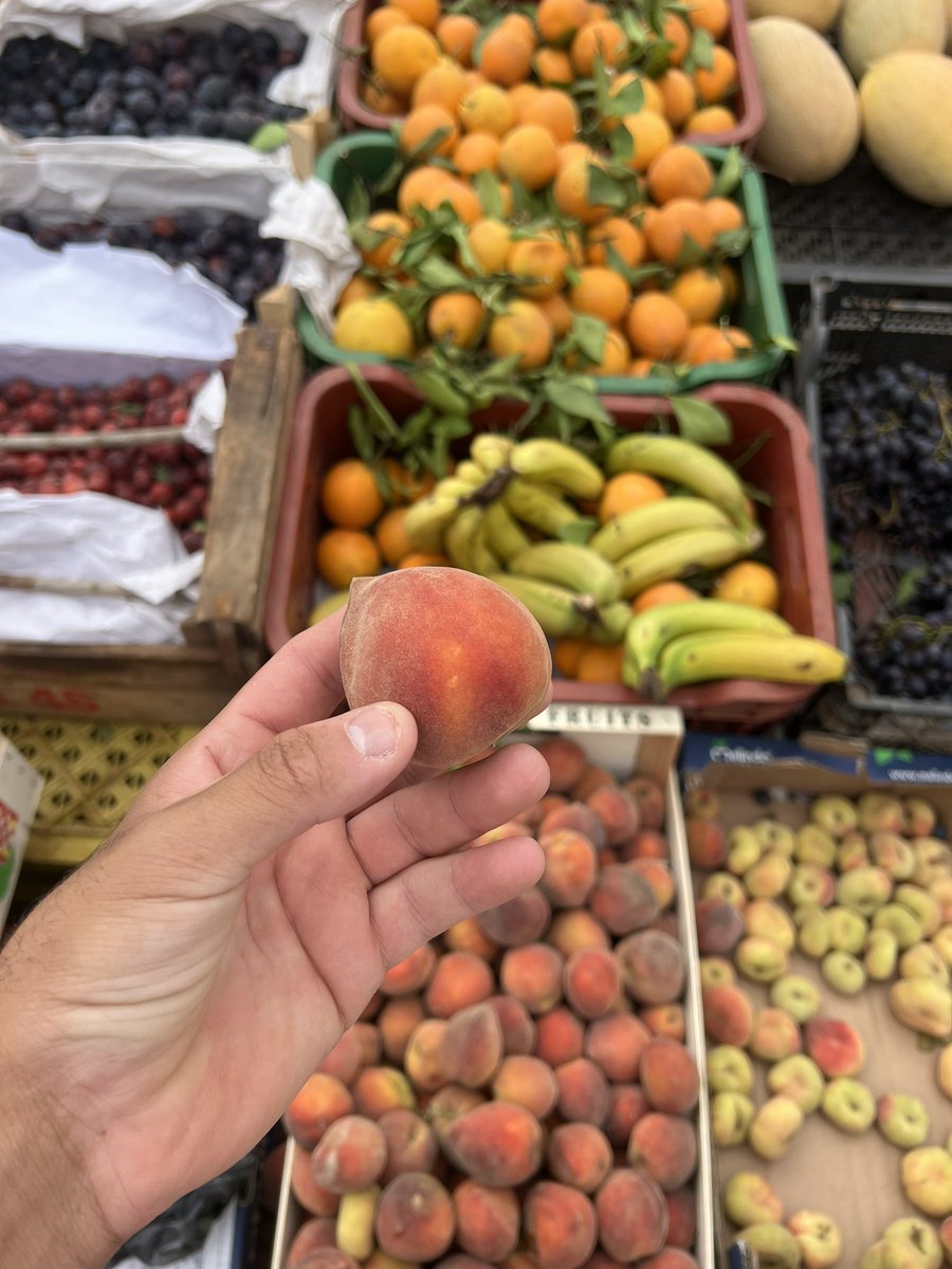 moroccomed33's tweet photo. Friday market sells all kinds of fresh fruits🍉🍑🍌🍊
@EnMaroc @DGSN_MAROC #Maroc #Africa https://t.co/qnWC1AERnp