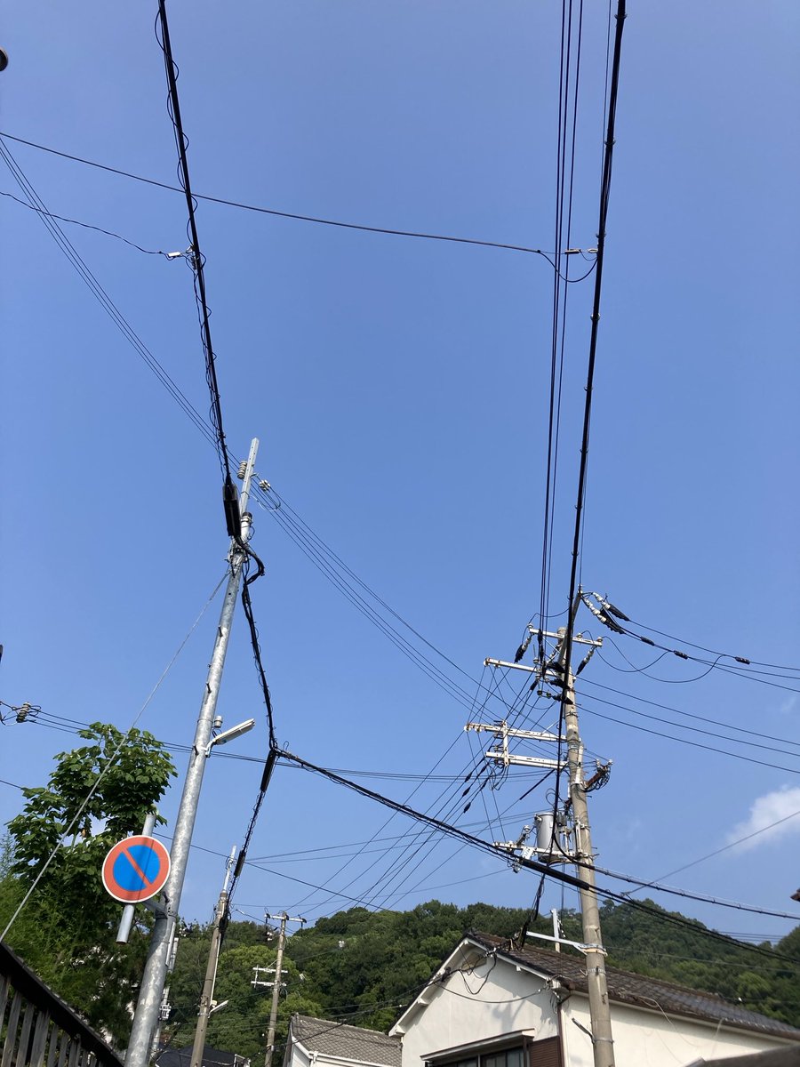 セミなきだした