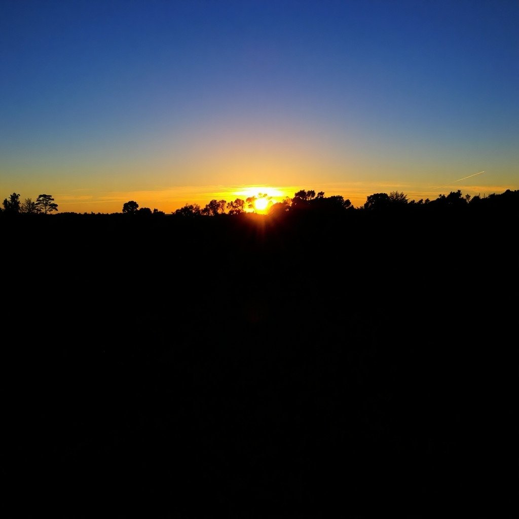 kachhua (@onlypostx) on Twitter photo 