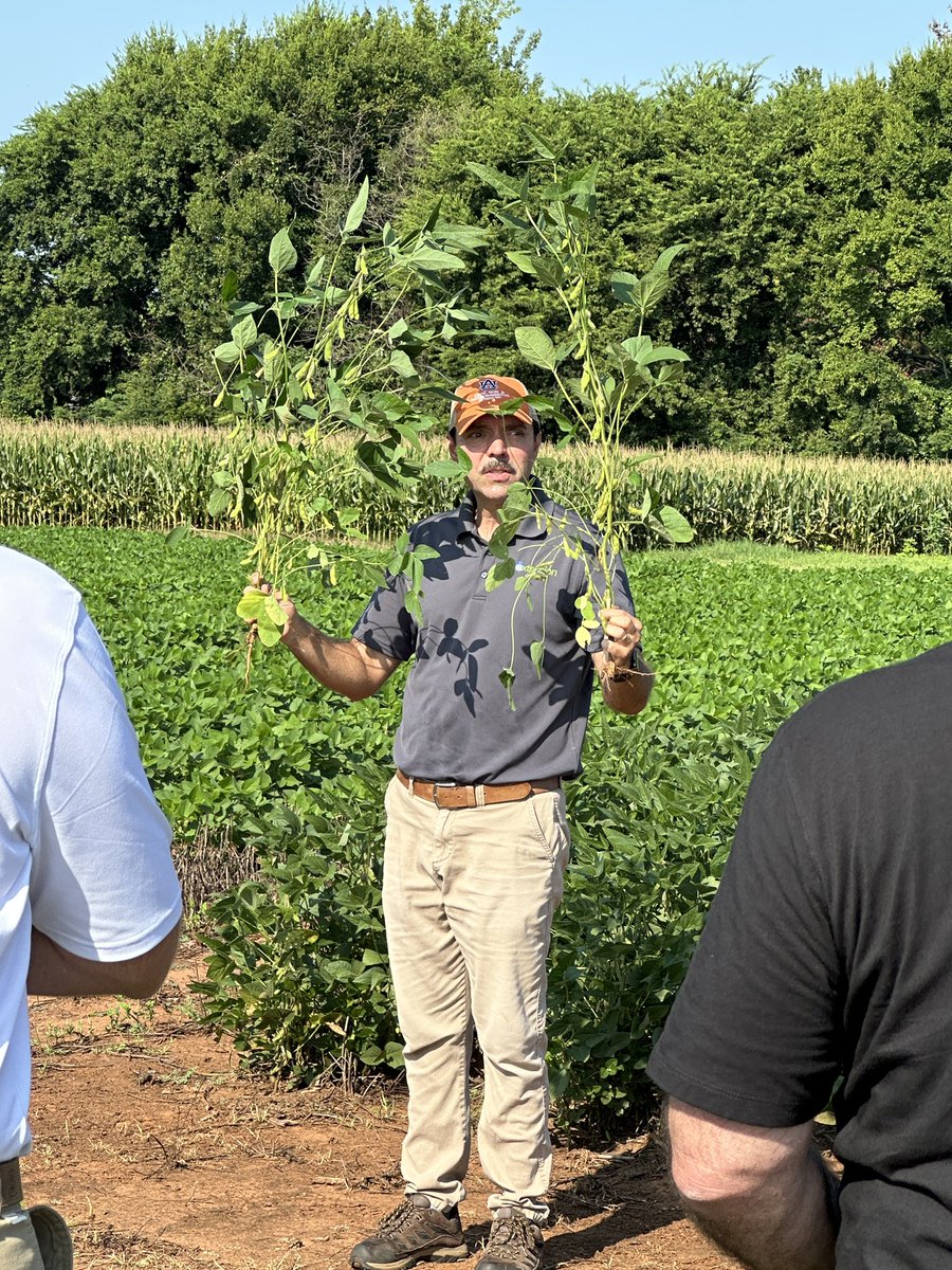 Eabfranc's tweet image. Glad to present our research projects to some representatives growers of the Southern Soybean Board at AU Prattville Research Unit and the BlackBelt Research Station today along with @ScottGraham72. @ACESedu @AuburnCSES @AuburnAg