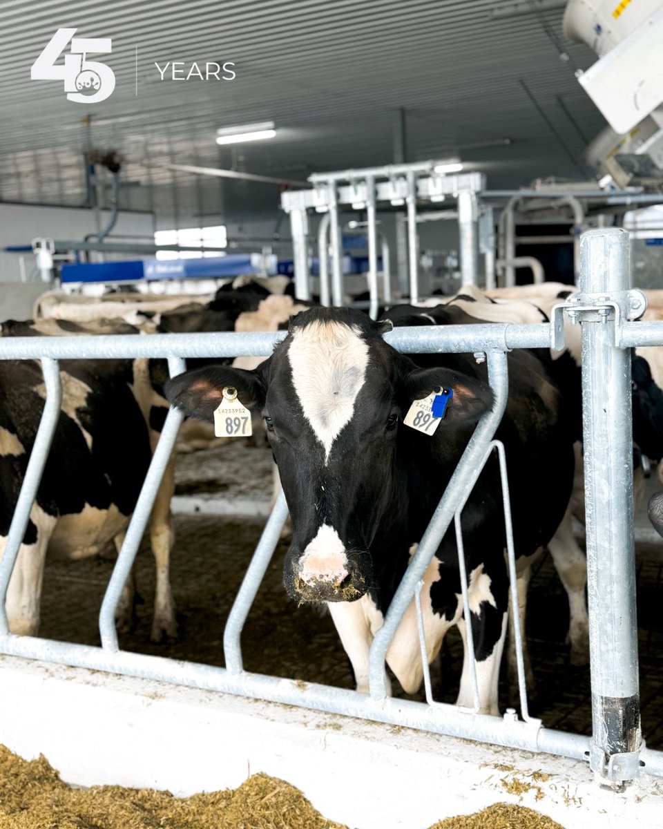 🐄 It’s Cow Appreciation Day! 🐄

At Norwell Dairy Systems, we know that healthy, comfortable cows are the key to a successful dairy.

That’s why we’re proud to supply tools like the <a href="/DeLaval/">DeLaval</a> Behavior Analysis System, which helps producers monitor vital health indicators like