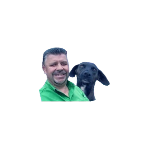 ChuncheTico's tweet photo. Ya no somos #Turqueso 😂😂😂 https://t.co/UMlIFYabBT