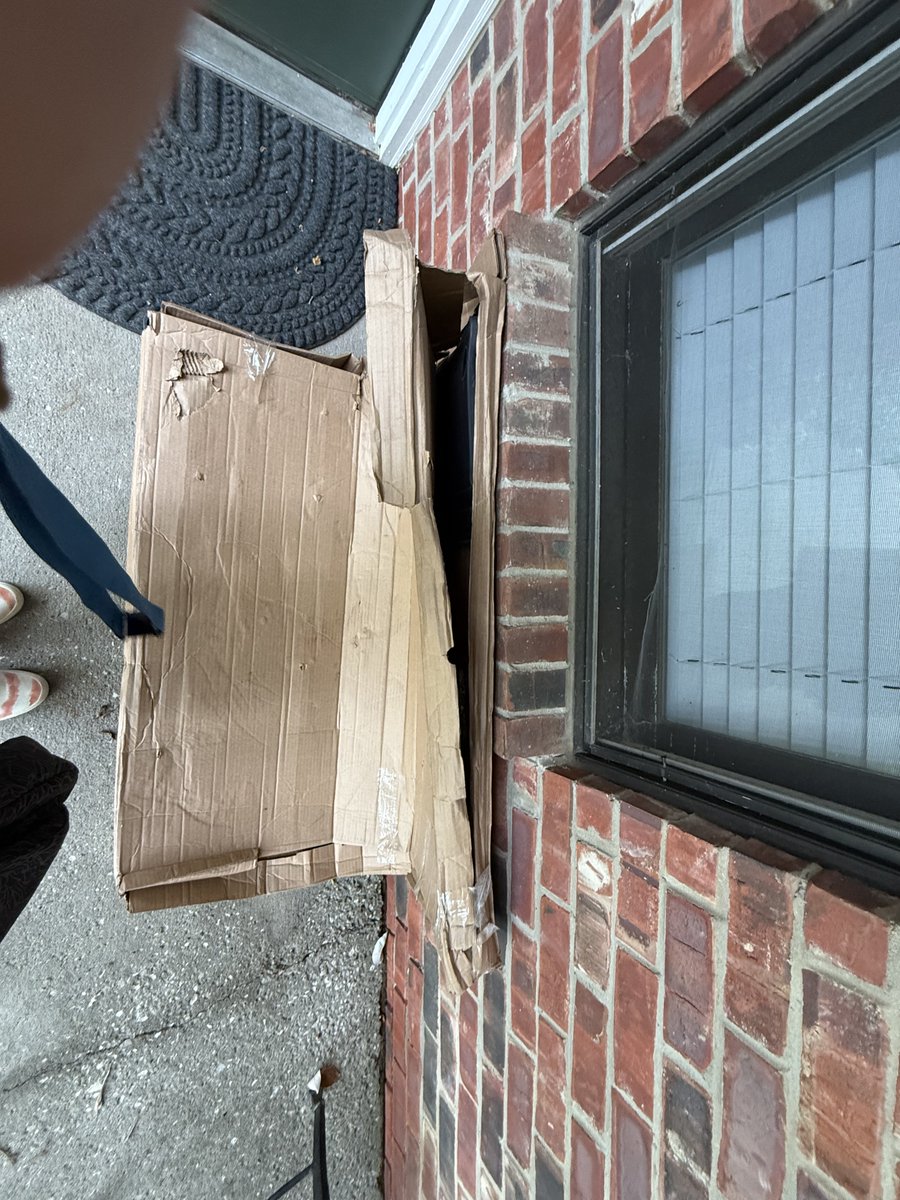 squirrel8296's tweet photo. @FedEx in what world is this delivery in an acceptable condition? https://t.co/KVRimtY28d