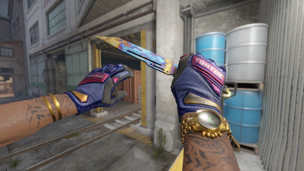 Well well...
looks like I got a matching pair!

Acquired the Paracord CH #368 in 0.14 MW today, the exact same pattern as my bowie!

I will continue expanding my collection with this exact pattern from now on.
This might be the most degenerate shit a CS player can do, but idc.