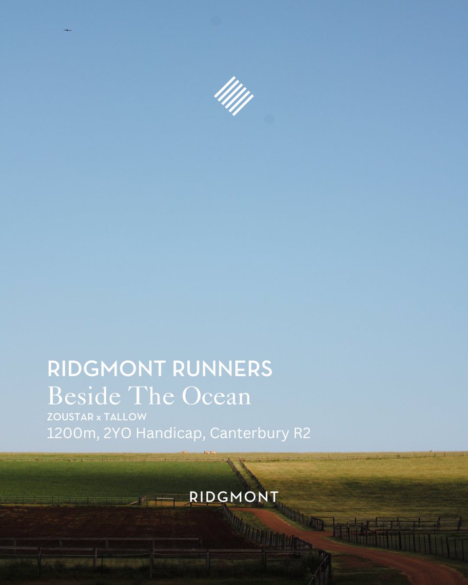 Ridgmont Runners | 09.07.25

Beside The Ocean (Zoustar x Tallow)
1200m, 2YO Handicap, Canterbury R2

#ridgmont #sharedsuccess #ridgmontrunners