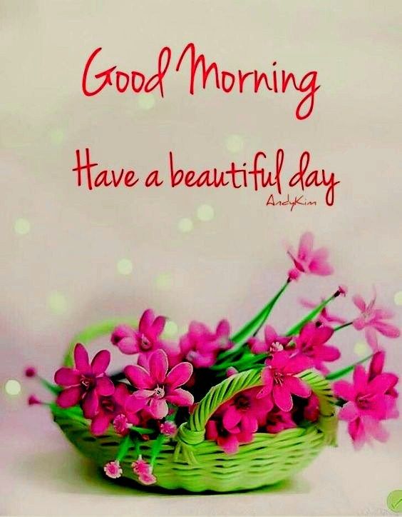السلام علیکم ورحمتہ اللہ وبرکاتہ ❤️ 
صبح بخیر زندگی ❤️