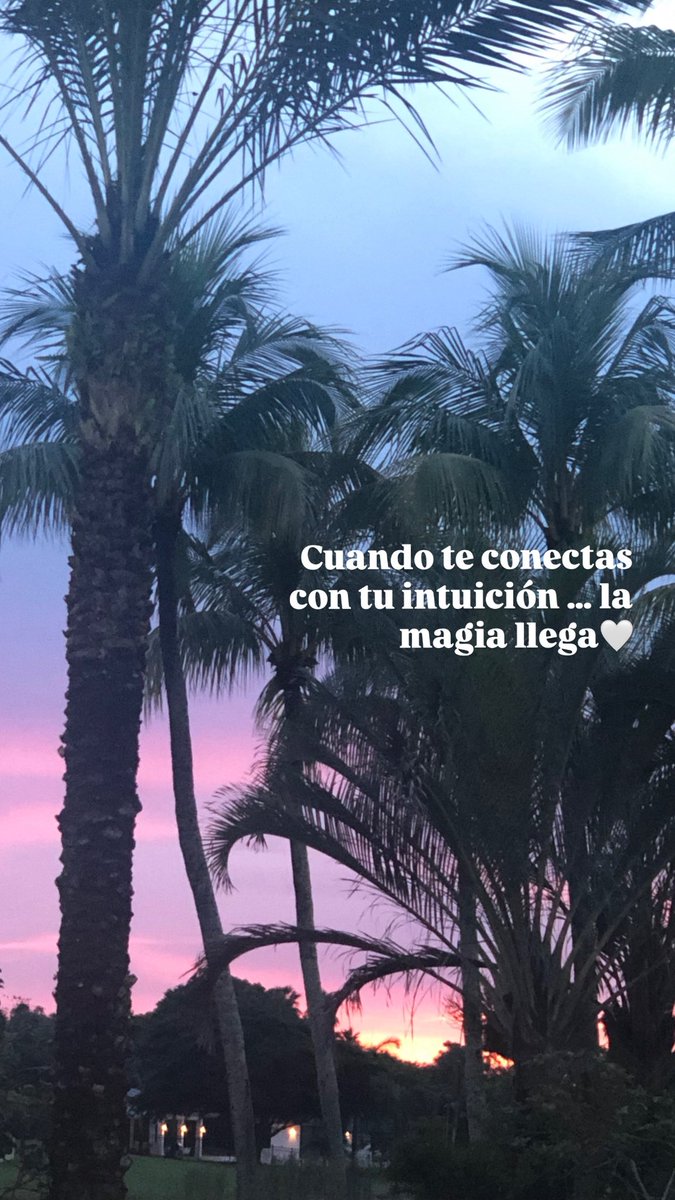 Ana Rojas Matiz (@anarojasmatiz) on Twitter photo 