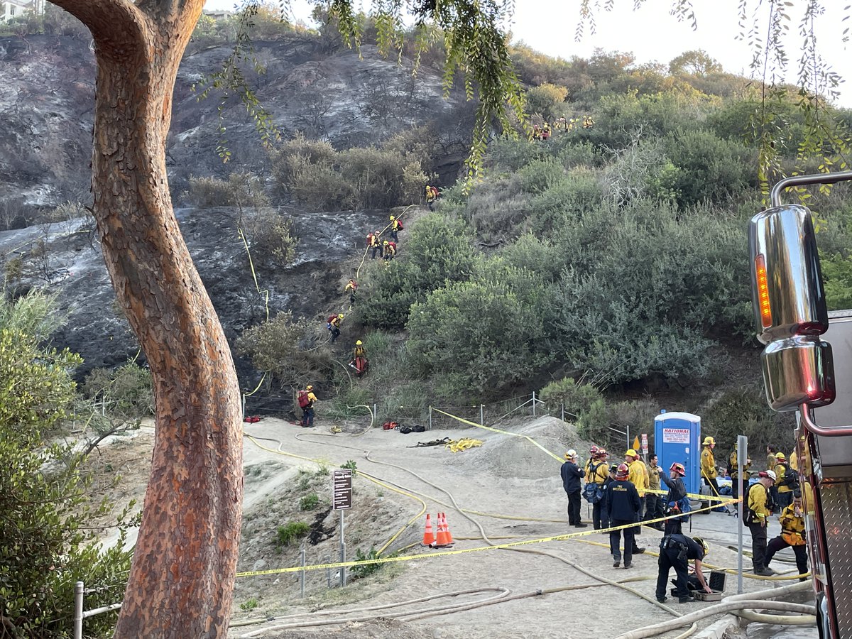 City of Laguna Beach tweet media