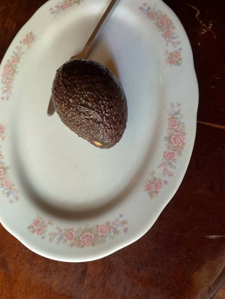 Ruvusha_Israel's tweet image. #HassAvocadoProject
Première production d'avocats Hass à Nyagenzi, au Sud-Kivu, en RDC. Cette production est réalisée en collaboration avec de petits agriculteurs. @JKanyoni @Mabouba_Diagne_ @Cetene_ @AmisiMusombwa2 @CollinsNgetich @KapasaMaitre @fidele_kitsa