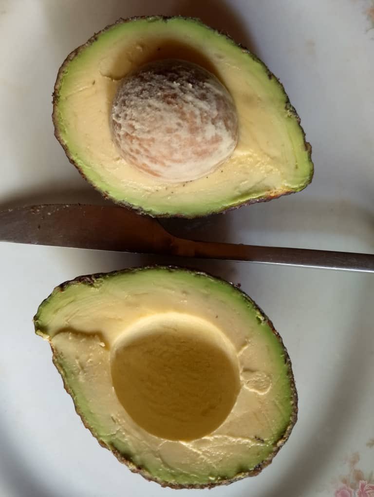 Ruvusha_Israel's tweet image. #HassAvocadoProject
Première production d'avocats Hass à Nyagenzi, au Sud-Kivu, en RDC. Cette production est réalisée en collaboration avec de petits agriculteurs. @JKanyoni @Mabouba_Diagne_ @Cetene_ @AmisiMusombwa2 @CollinsNgetich @KapasaMaitre @fidele_kitsa