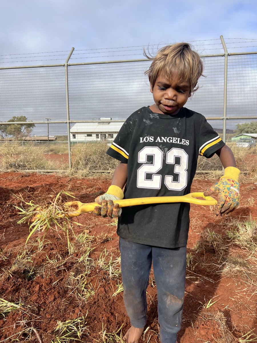 reddustoz's tweet image. 🪴Plan-Ting for the future! 🪴
Who says you can’t grow anything in the desert? If it’s someone you know… show them this and prove them wrong! Read more about the gardening project on our website! #healthyliving #Kintore #Cultureislife  #NAIDOC #NAIDOCWeek2025
