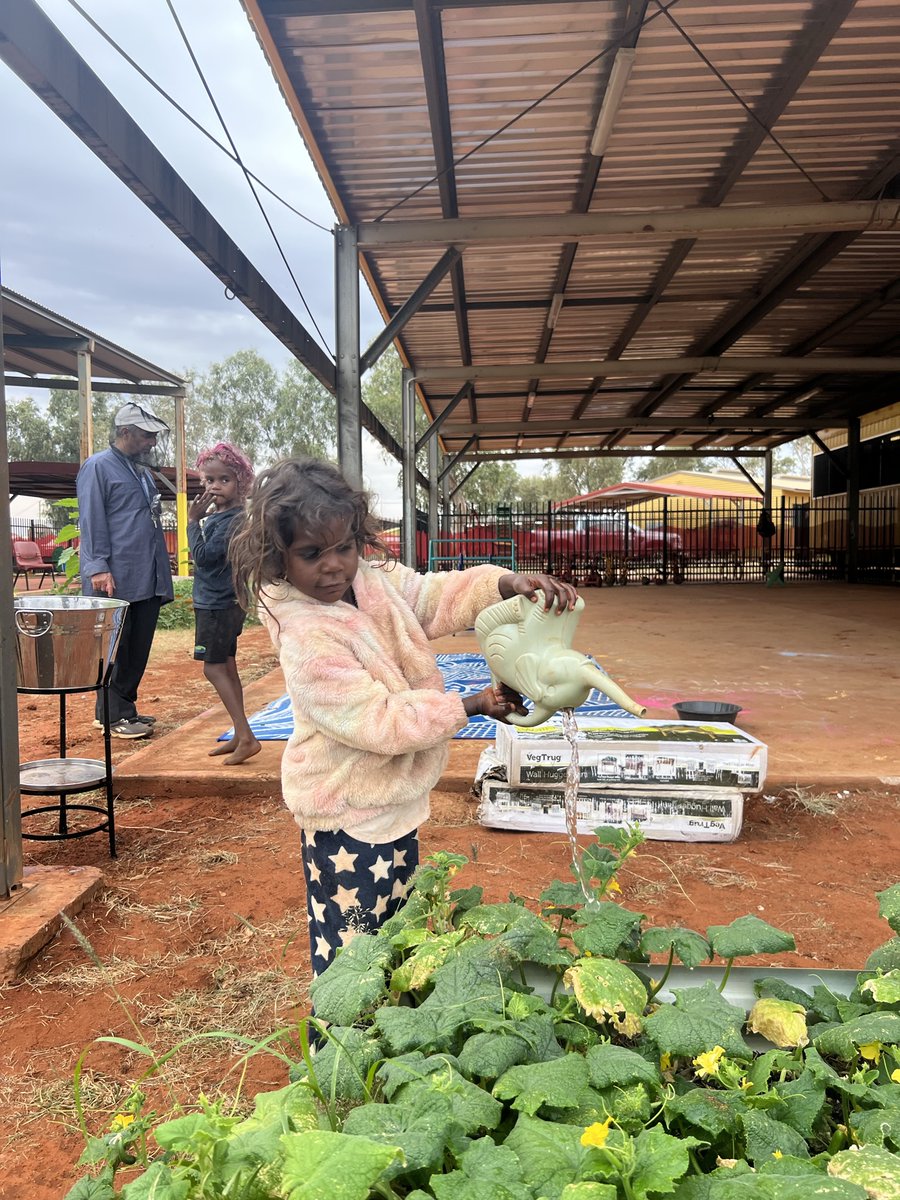 reddustoz's tweet image. 🪴Plan-Ting for the future! 🪴
Who says you can’t grow anything in the desert? If it’s someone you know… show them this and prove them wrong! Read more about the gardening project on our website! #healthyliving #Kintore #Cultureislife  #NAIDOC #NAIDOCWeek2025