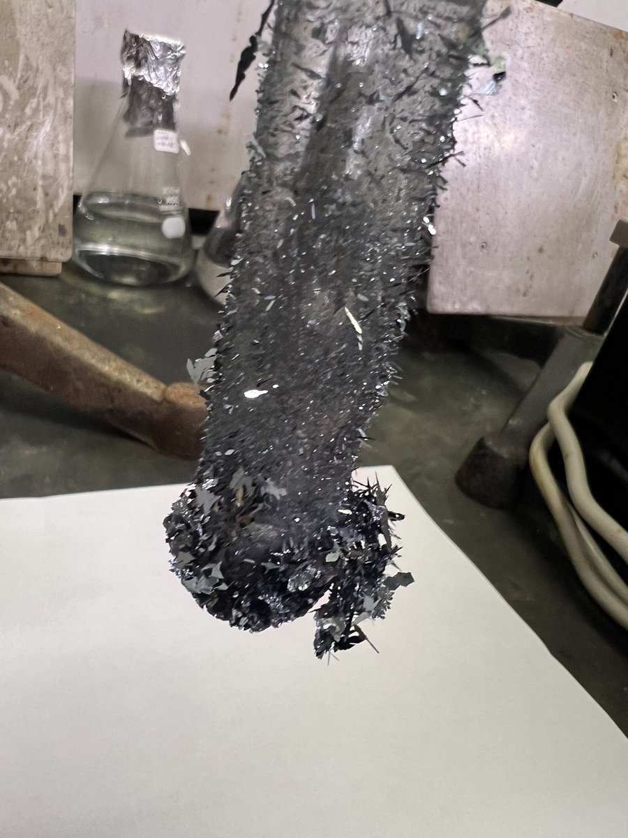 北里大学分子機能化学講座/長谷川研究室/ tweet media