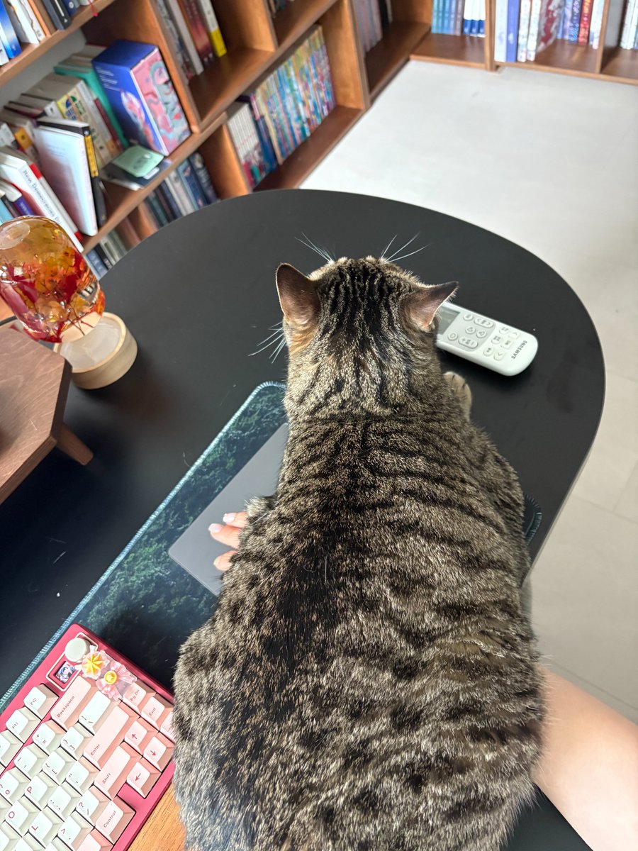 너...... 이럴 거야......?